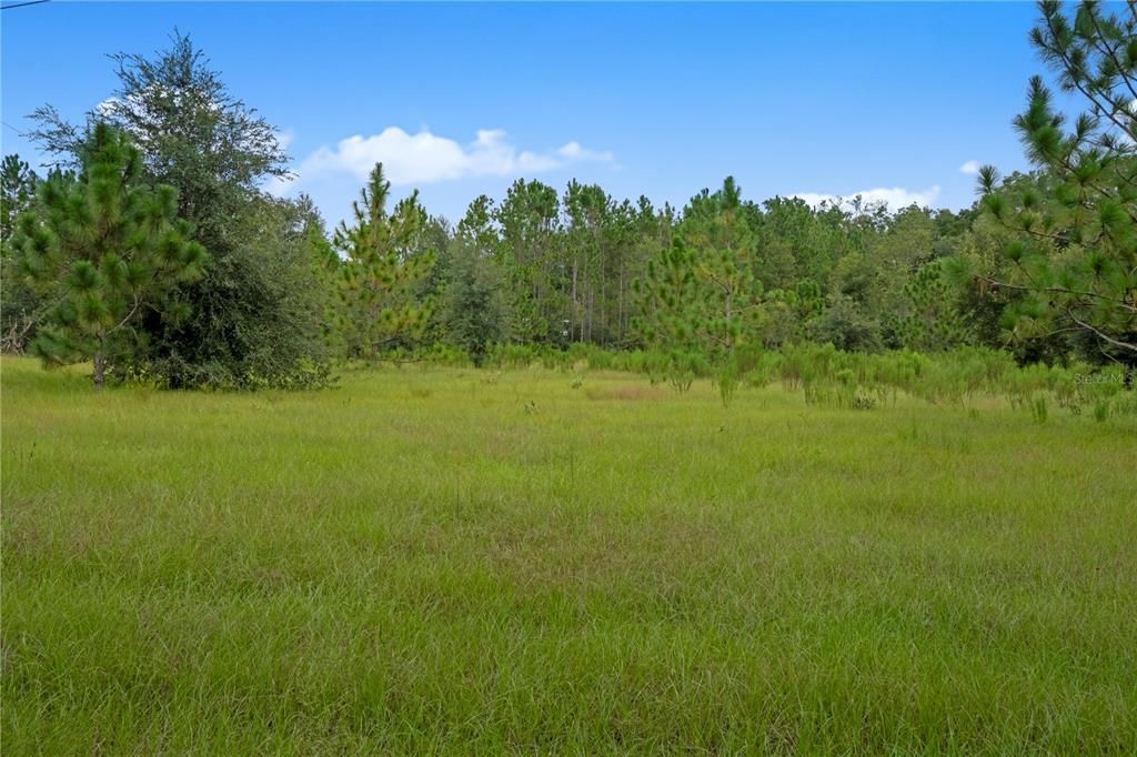 Под контрактом: $250,000 (14.00 acres)