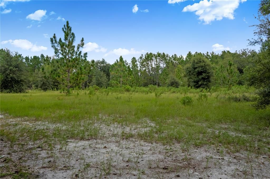 Под контрактом: $250,000 (14.00 acres)