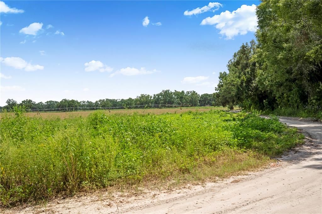 Под контрактом: $250,000 (14.00 acres)