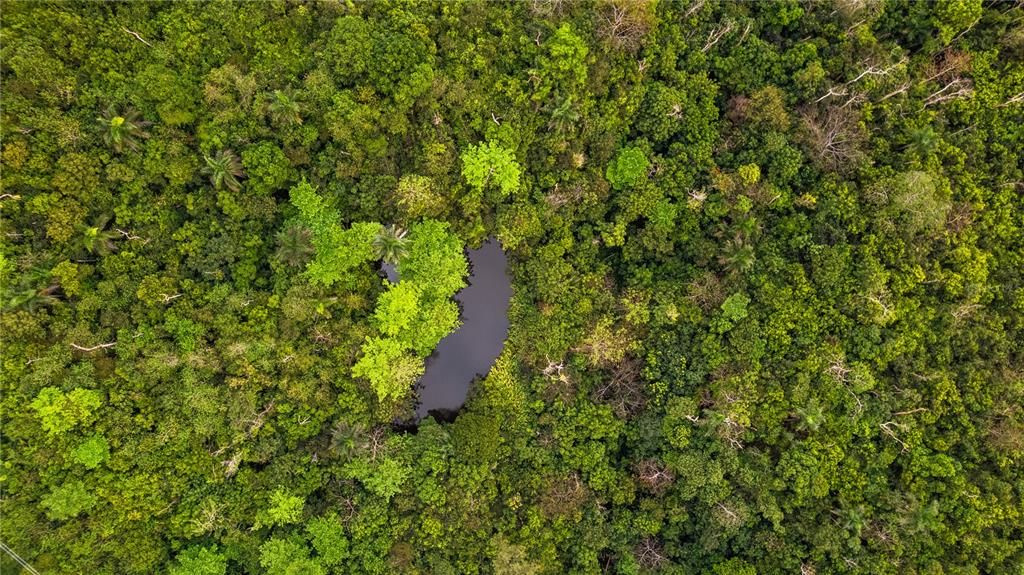 На продажу: $799,000 (7.80 acres)