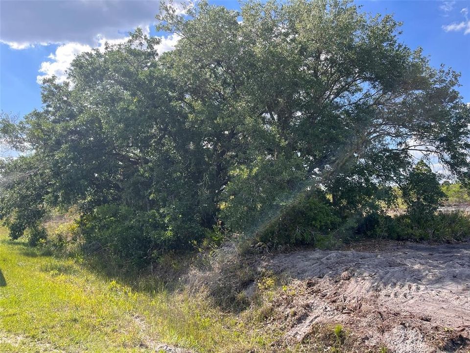Activo con contrato: $29,900 (1.25 acres)