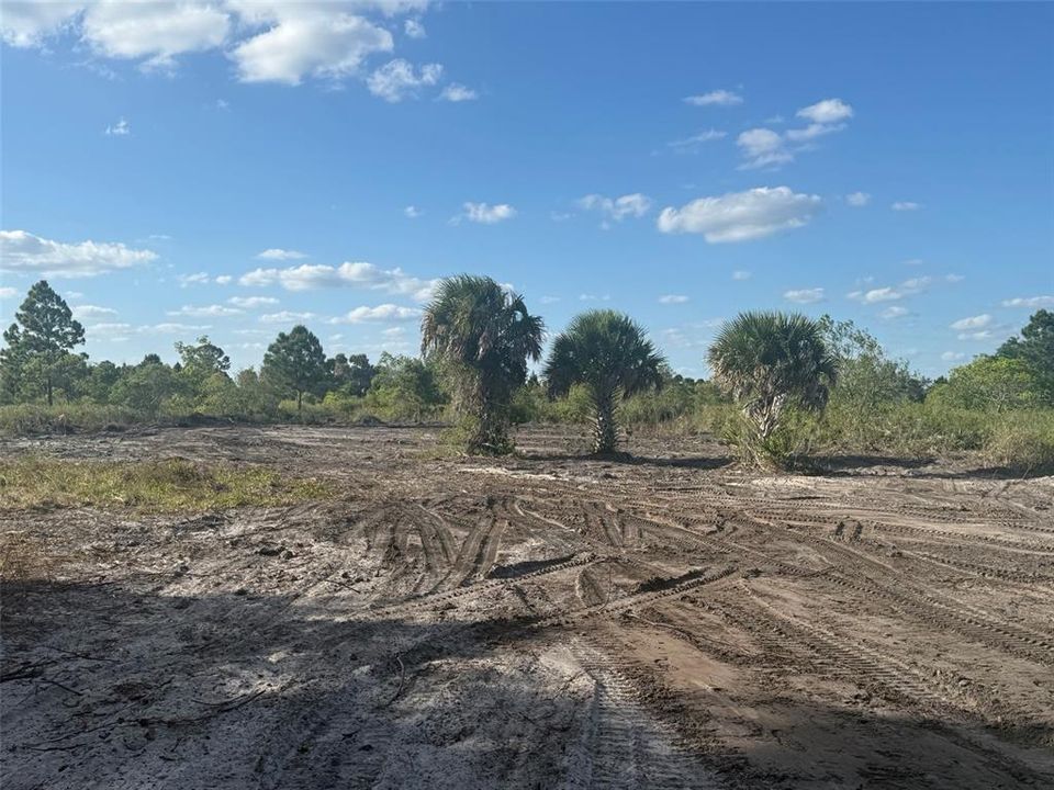Activo con contrato: $29,900 (1.25 acres)