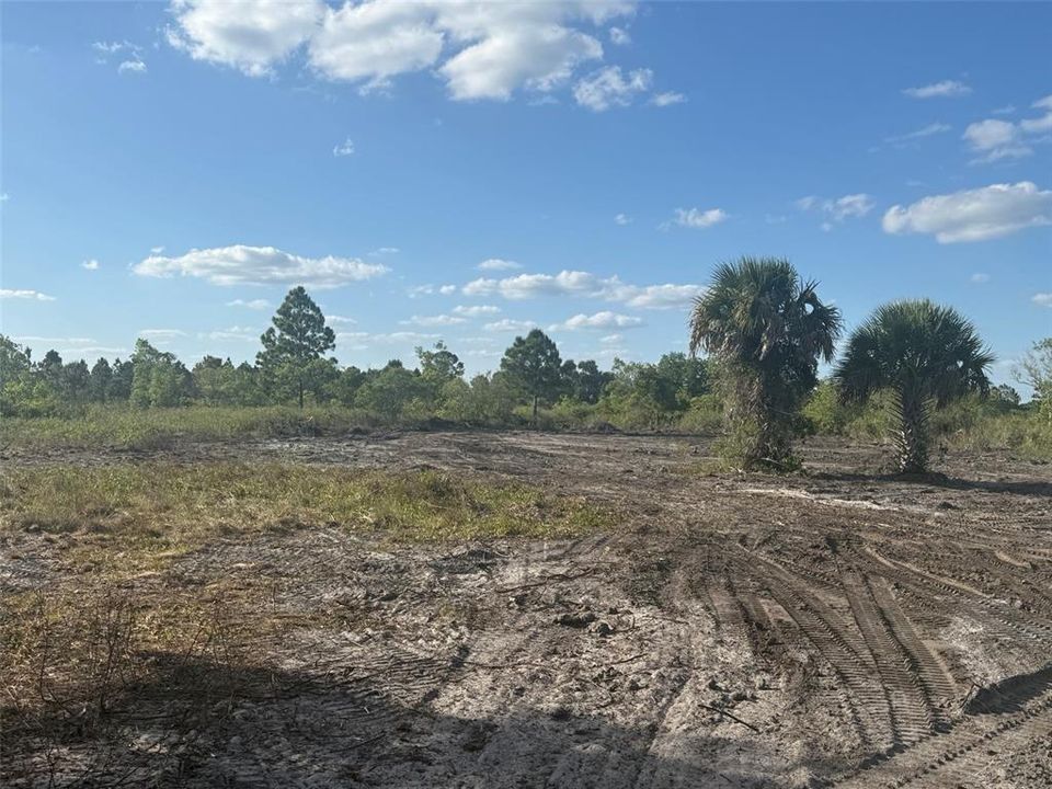 Activo con contrato: $29,900 (1.25 acres)