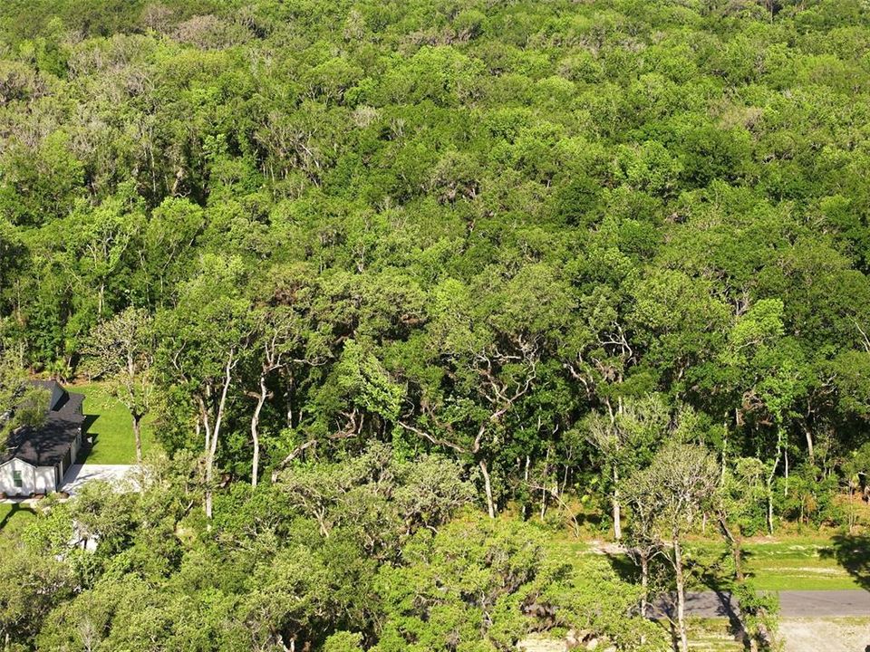 На продажу: $159,000 (2.50 acres)