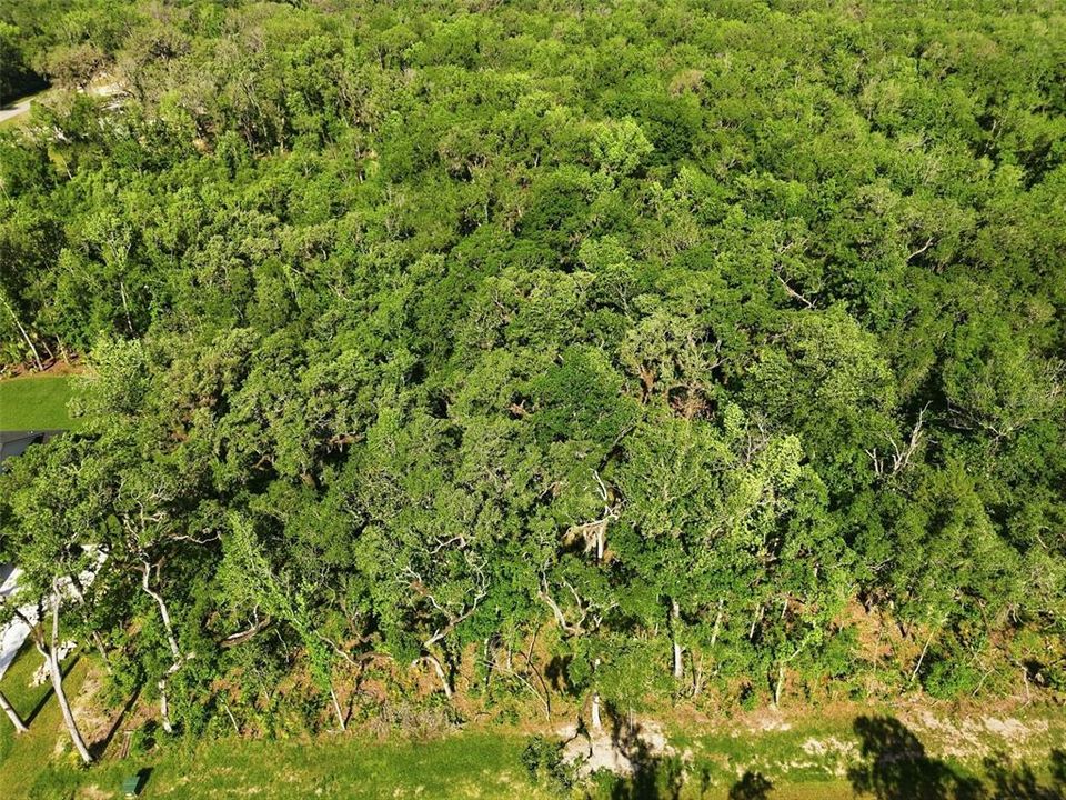 На продажу: $159,000 (2.50 acres)