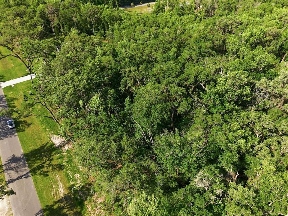 На продажу: $159,000 (2.50 acres)