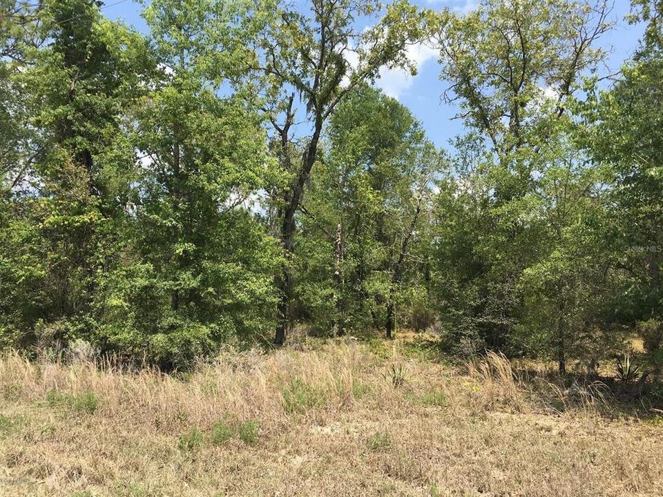 На продажу: $75,000 (3.04 acres)