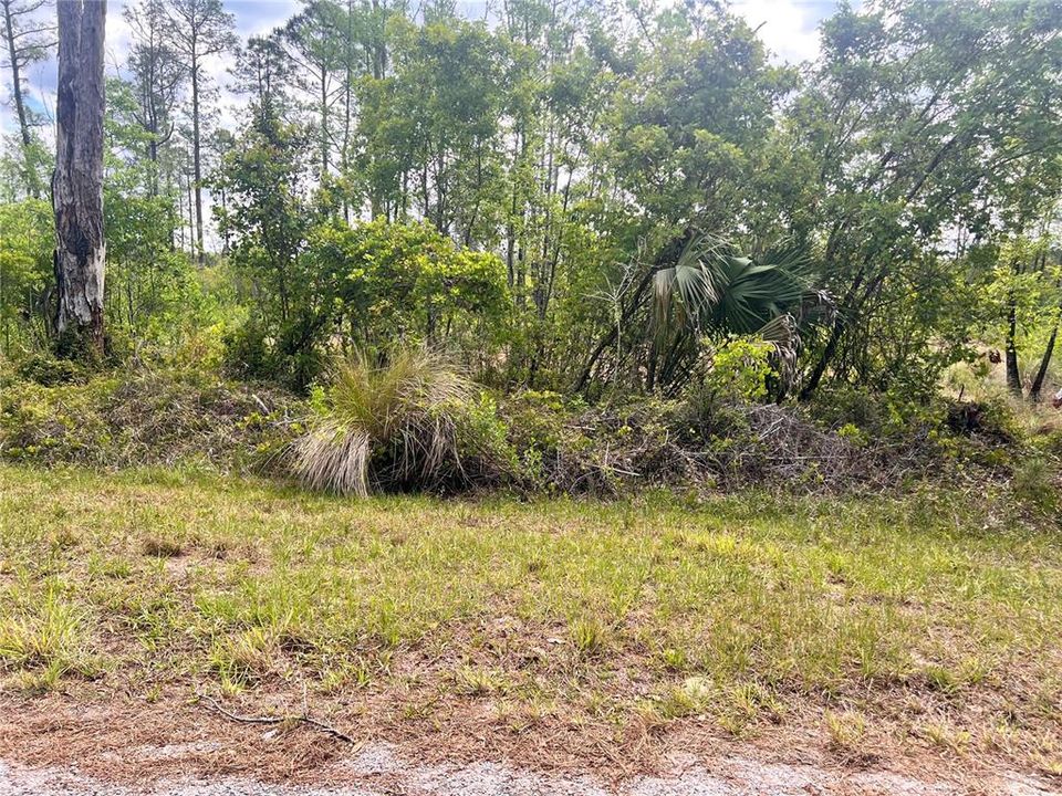 待售: $40,000 (1.00 acres)