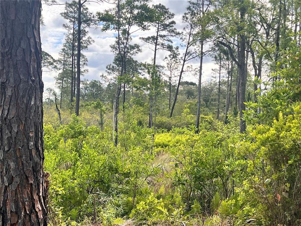 待售: $40,000 (1.00 acres)