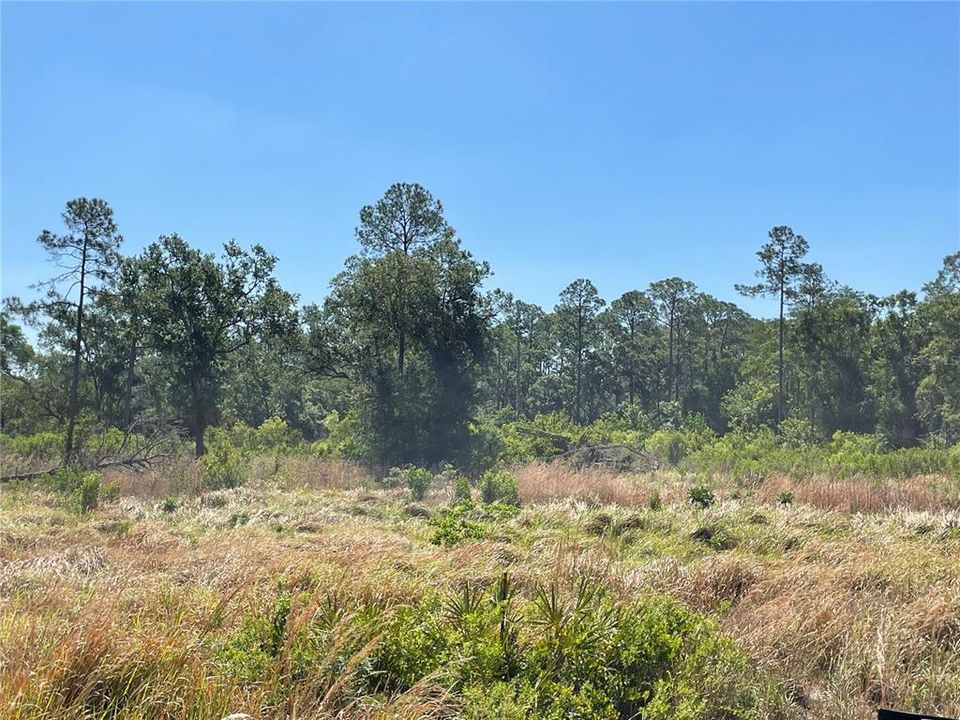 En Venta: $150,000 (0.13 acres)