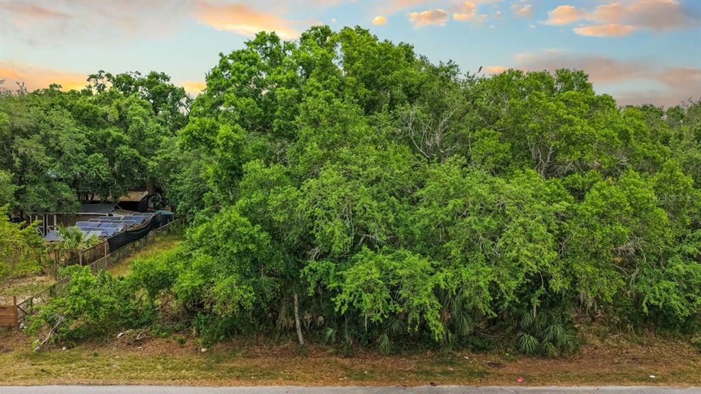 待售: $90,000 (0.30 acres)