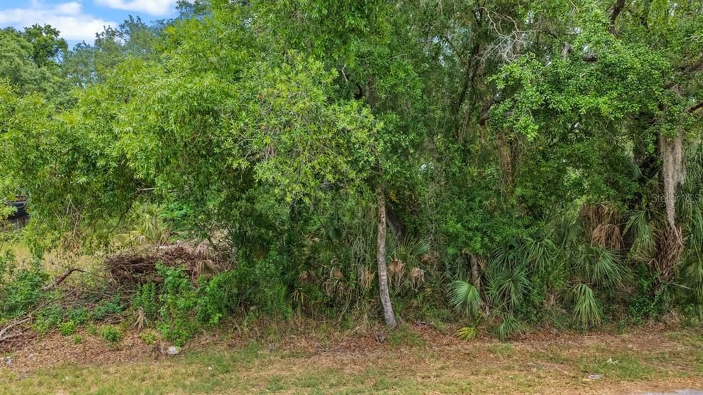 待售: $90,000 (0.30 acres)