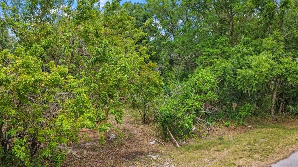 待售: $90,000 (0.30 acres)