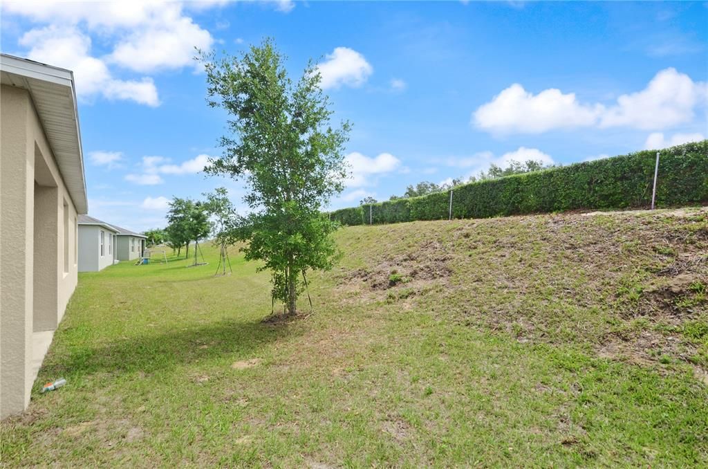 For Sale: $355,000 (4 beds, 2 baths, 1846 Square Feet)