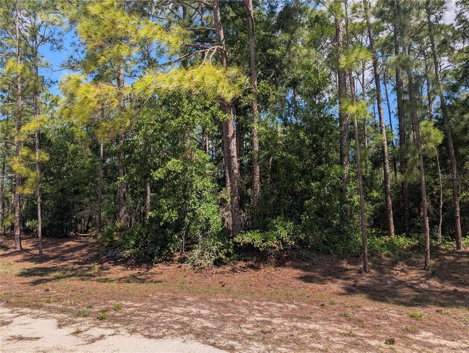 На продажу: $12,000 (0.50 acres)