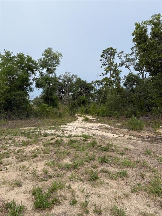 На продажу: $735,000 (49.14 acres)