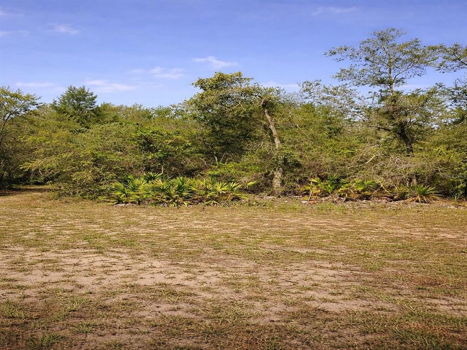 На продажу: $86,000 (0.51 acres)