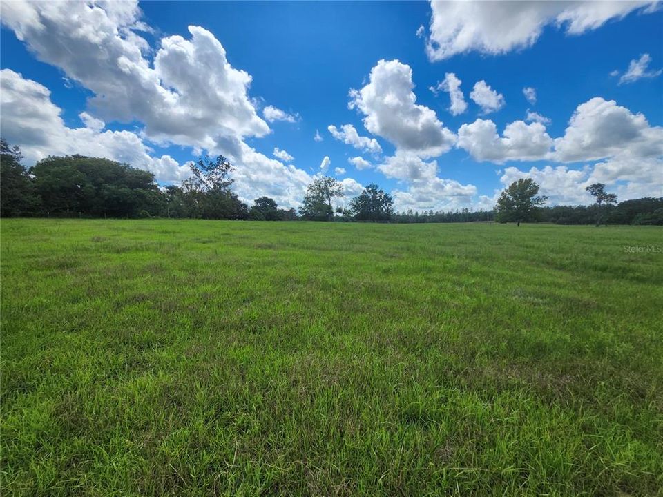 待售: $110,000 (1.17 acres)