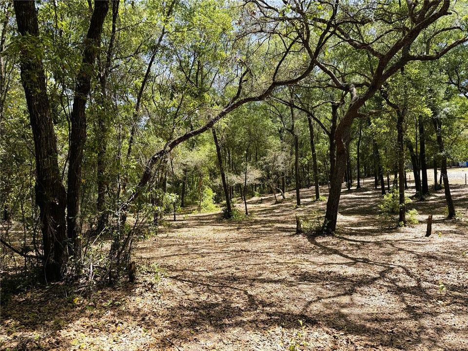 En Venta: $29,900 (0.64 acres)