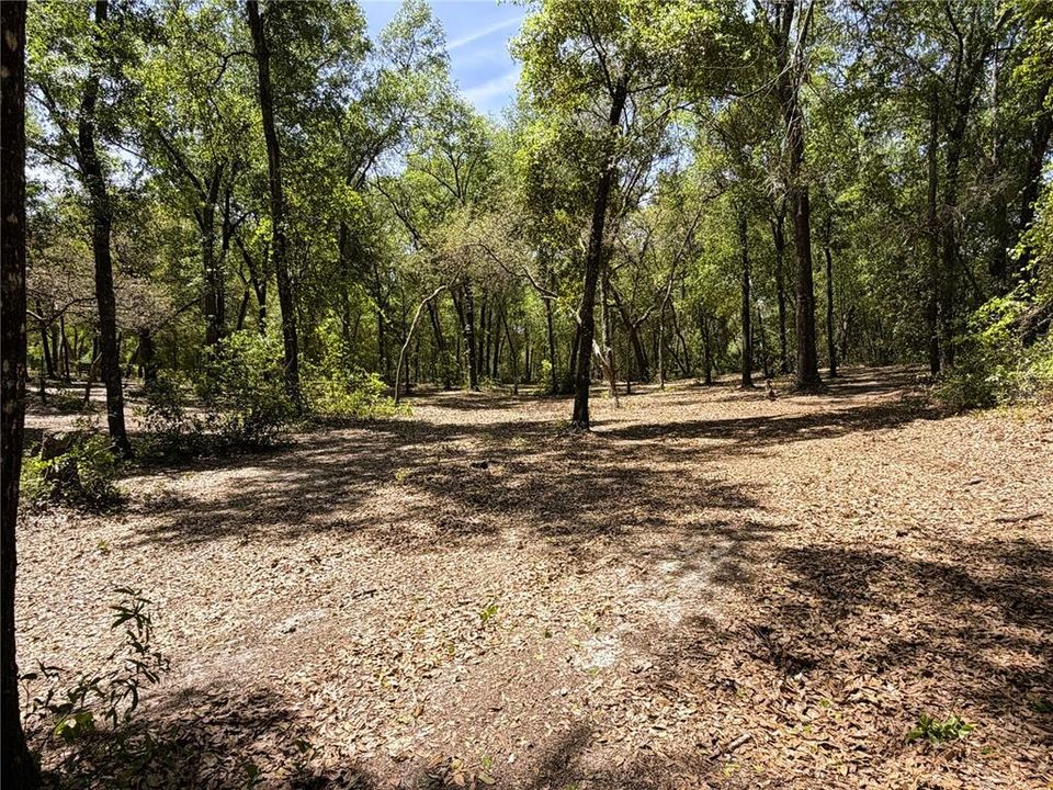 En Venta: $29,900 (0.64 acres)