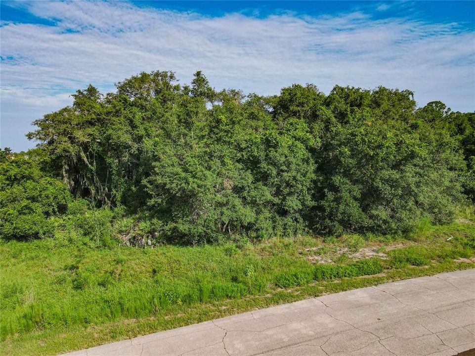 For Sale: $159,000 (4.75 acres)