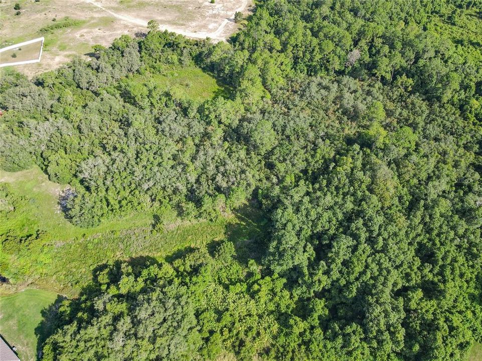 For Sale: $159,000 (4.75 acres)