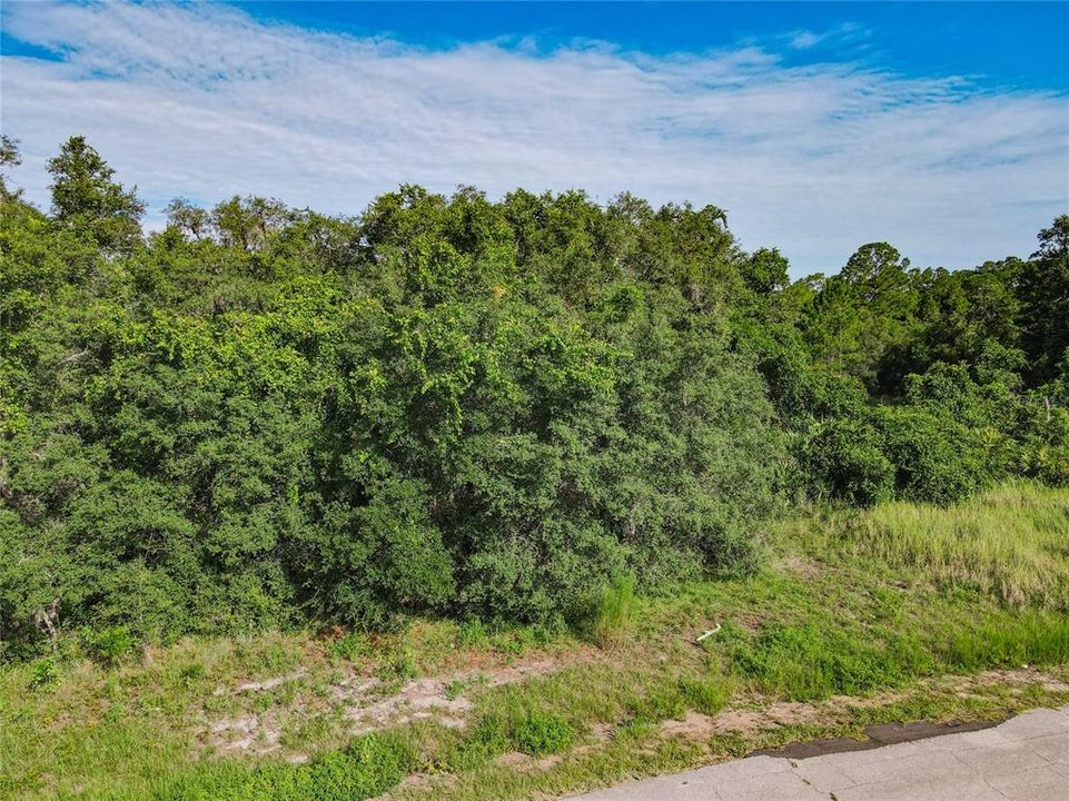 For Sale: $159,000 (4.75 acres)