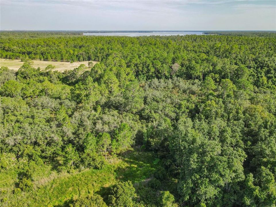 For Sale: $159,000 (4.75 acres)