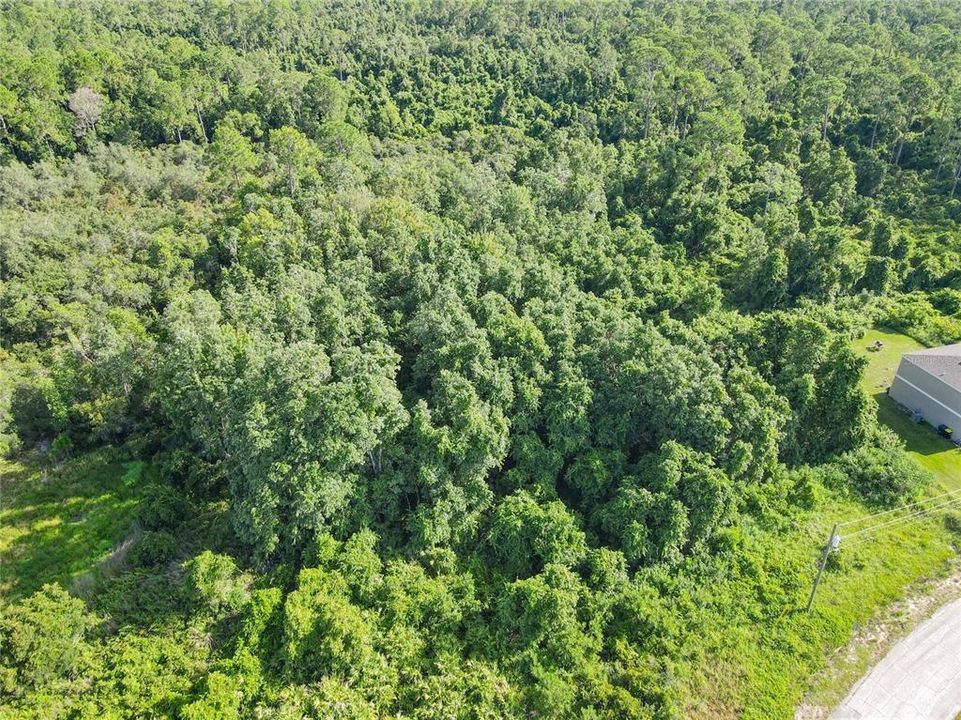 For Sale: $159,000 (4.75 acres)
