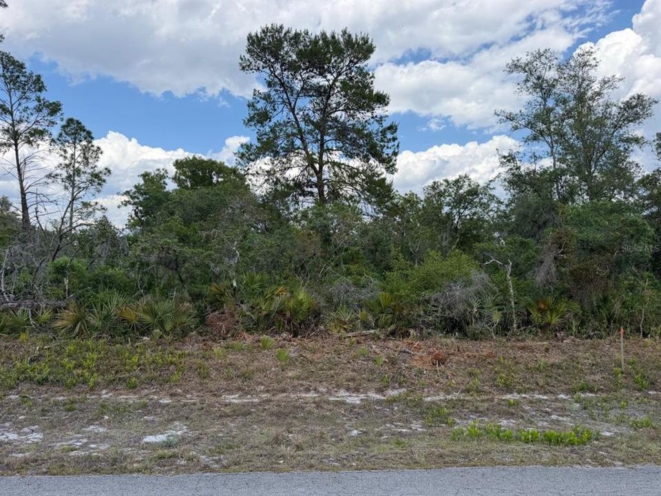 На продажу: $18,000 (0.23 acres)