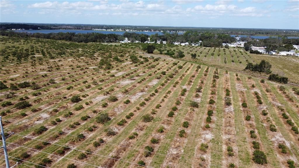 На продажу: $869,000 (36.70 acres)