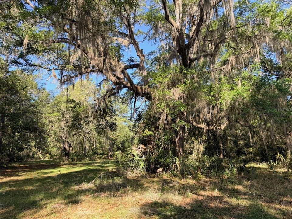 For Sale: $235,000 (2 beds, 2 baths, 720 Square Feet)