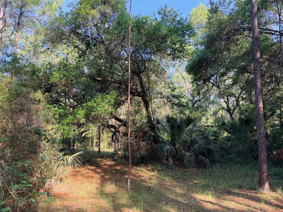 For Sale: $235,000 (2 beds, 2 baths, 720 Square Feet)