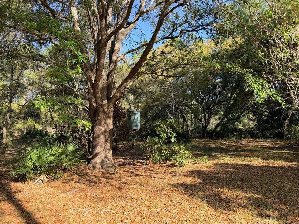 For Sale: $235,000 (2 beds, 2 baths, 720 Square Feet)