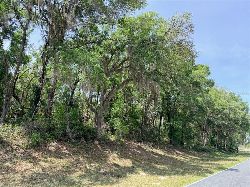 For Sale: $235,000 (2 beds, 2 baths, 720 Square Feet)