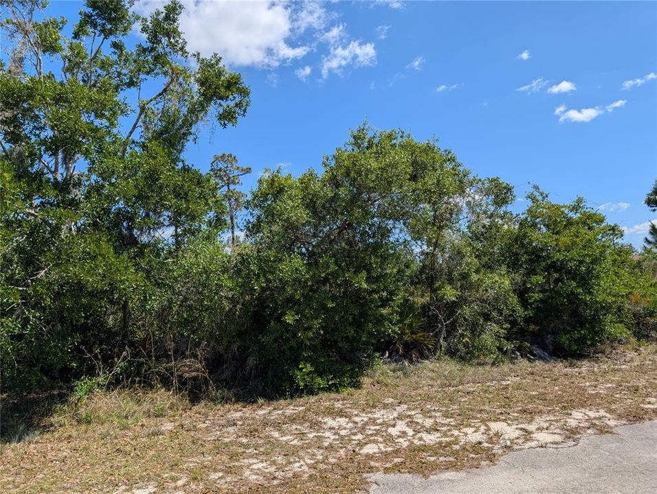待售: $14,000 (0.50 acres)