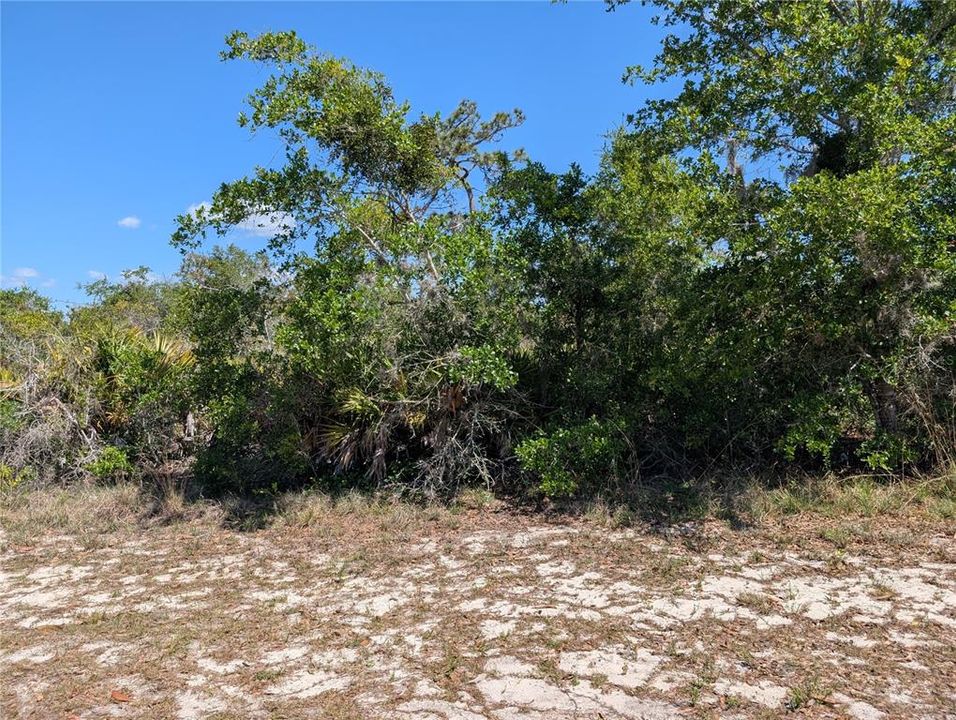 待售: $14,000 (0.50 acres)