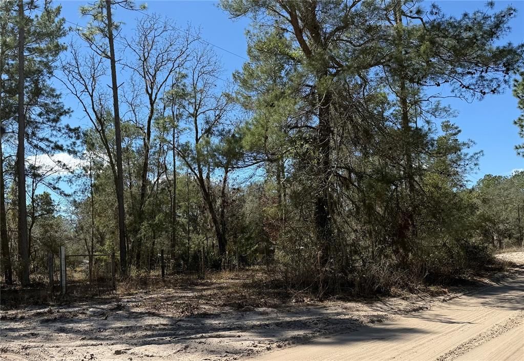 Vendido Recientemente: $60,000 (3.00 acres)