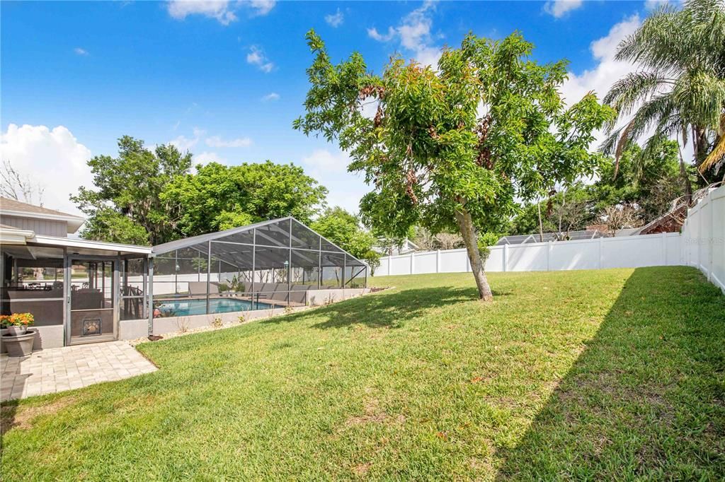 Active With Contract: $515,000 (4 beds, 3 baths, 2340 Square Feet)