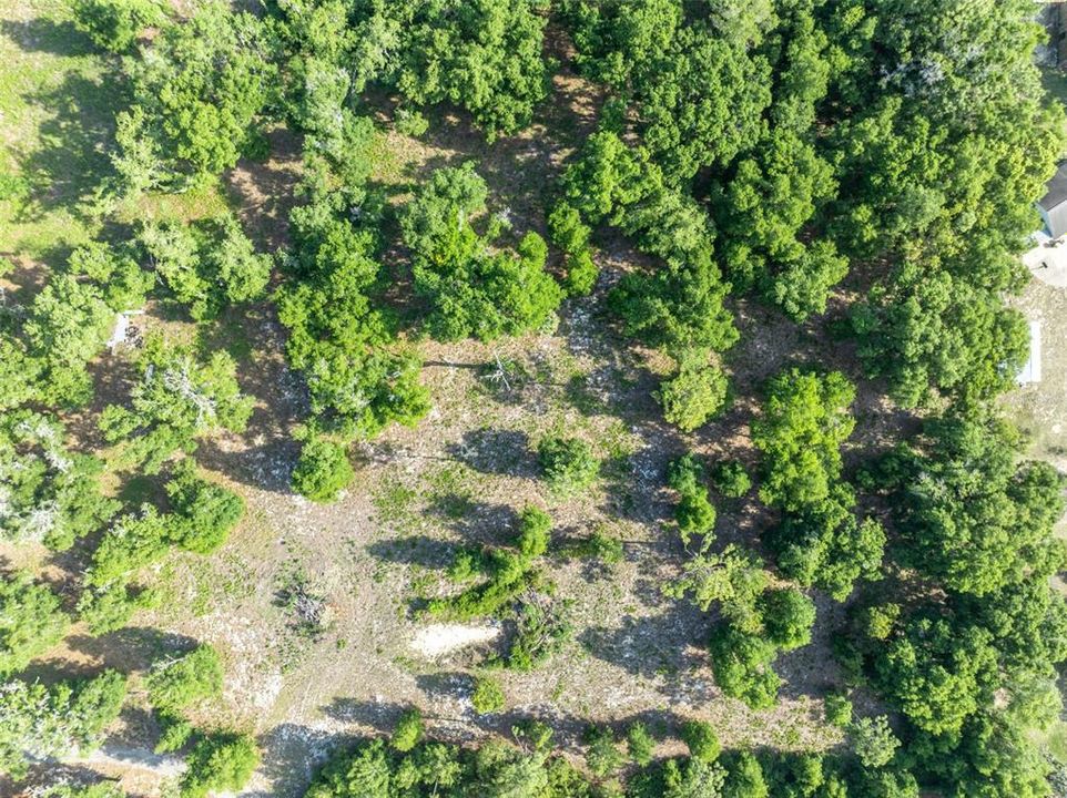 Activo con contrato: $415,000 (5.00 acres)