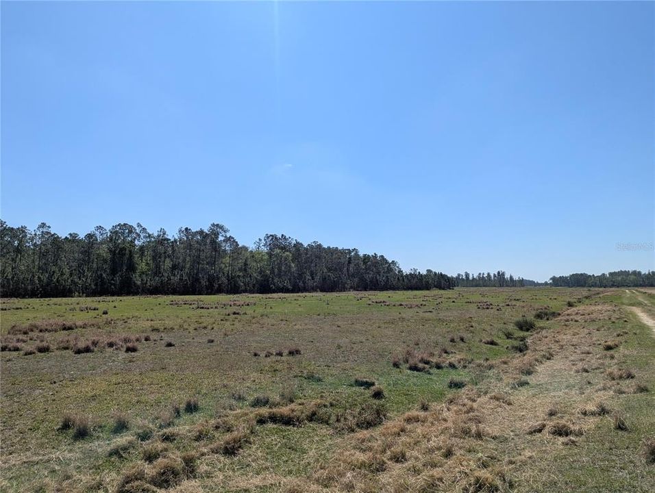 En Venta: $65,000 (3.80 acres)