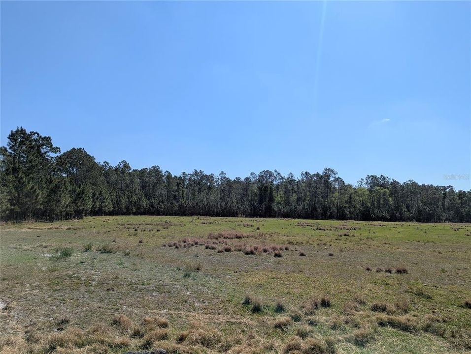 En Venta: $65,000 (3.80 acres)