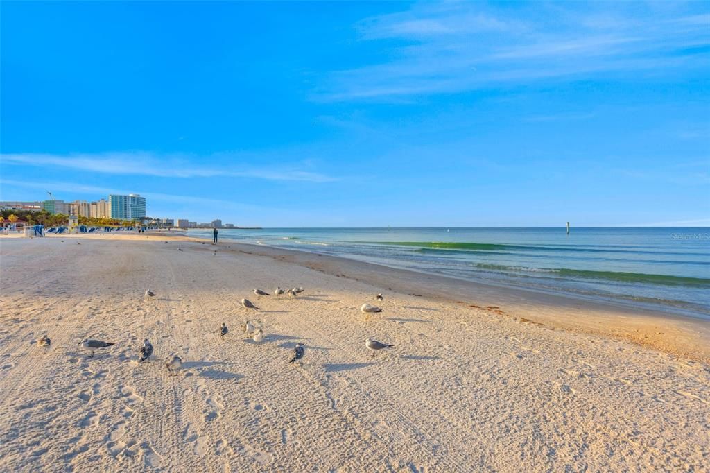 For Sale: $2,399,000 (3 beds, 2 baths, 2000 Square Feet)