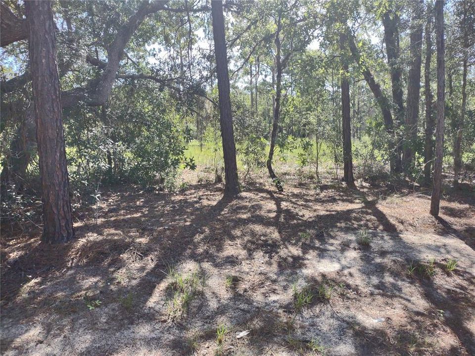 For Sale: $249,900 (2 beds, 0 baths, 1300 Square Feet)