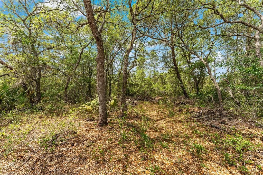 Activo con contrato: $350,000 (3 camas, 2 baños, 1763 Pies cuadrados)