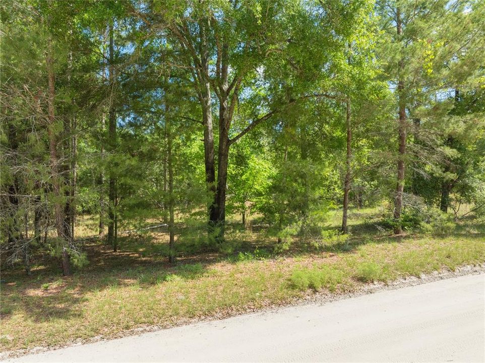 For Sale: $55,000 (4.00 acres)