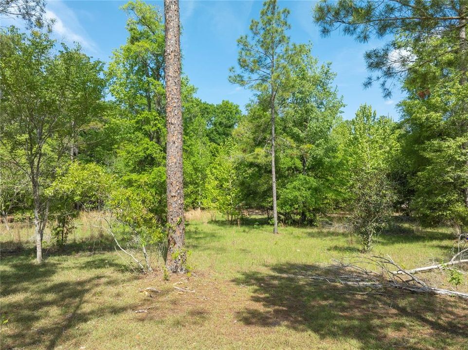 For Sale: $55,000 (4.00 acres)