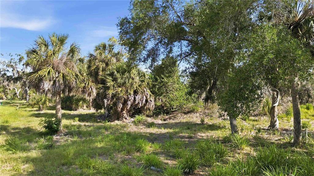 For Sale: $199,900 (0.48 acres)