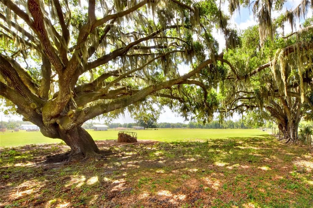 На продажу: $850,000 (9.95 acres)