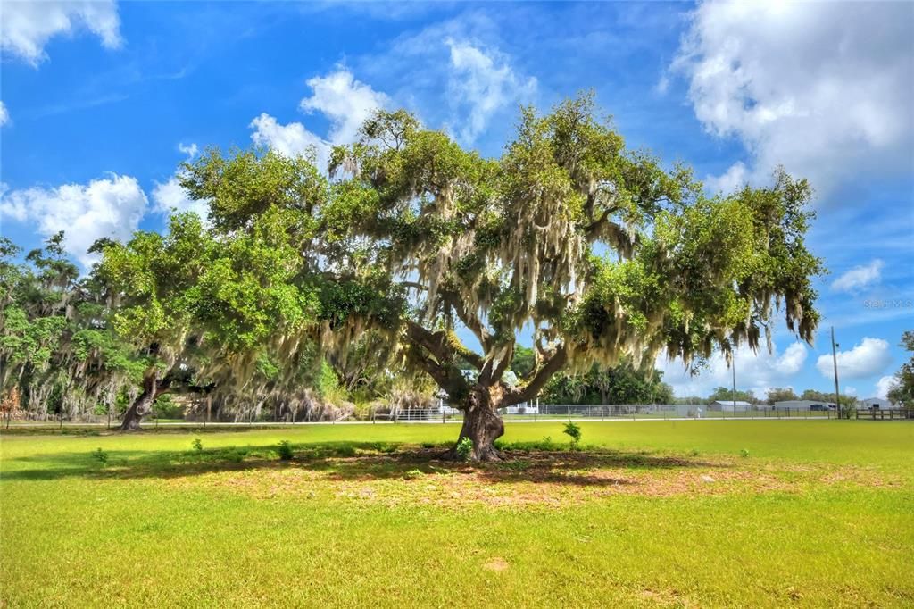 На продажу: $850,000 (9.95 acres)